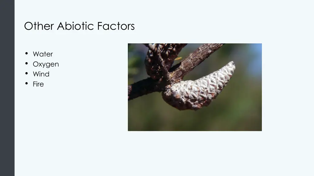 other abiotic factors