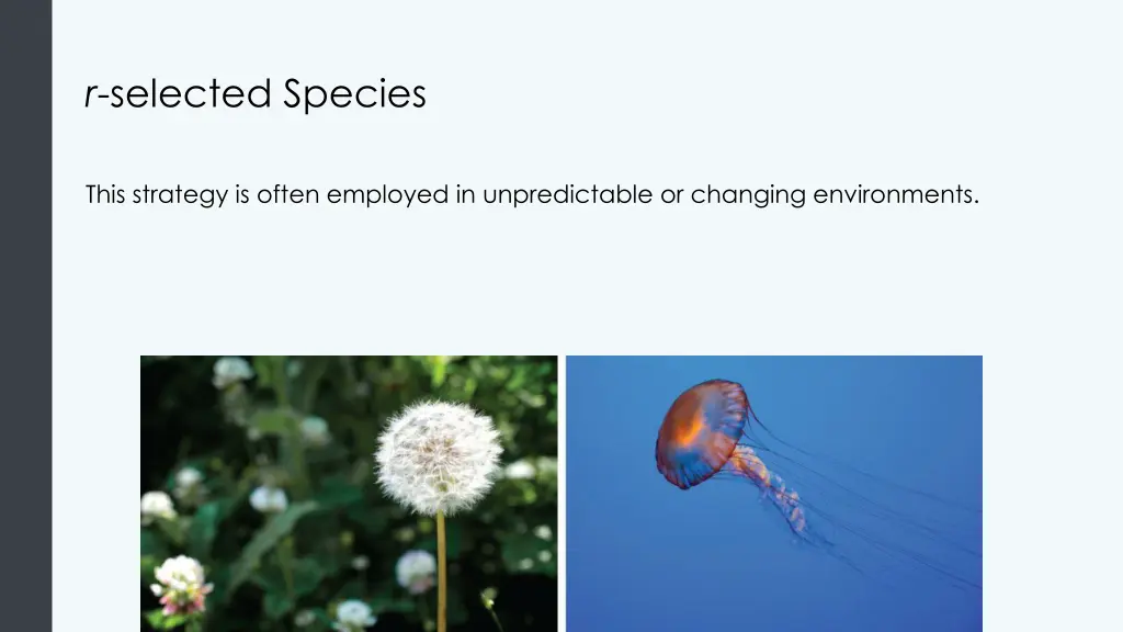 r selected species