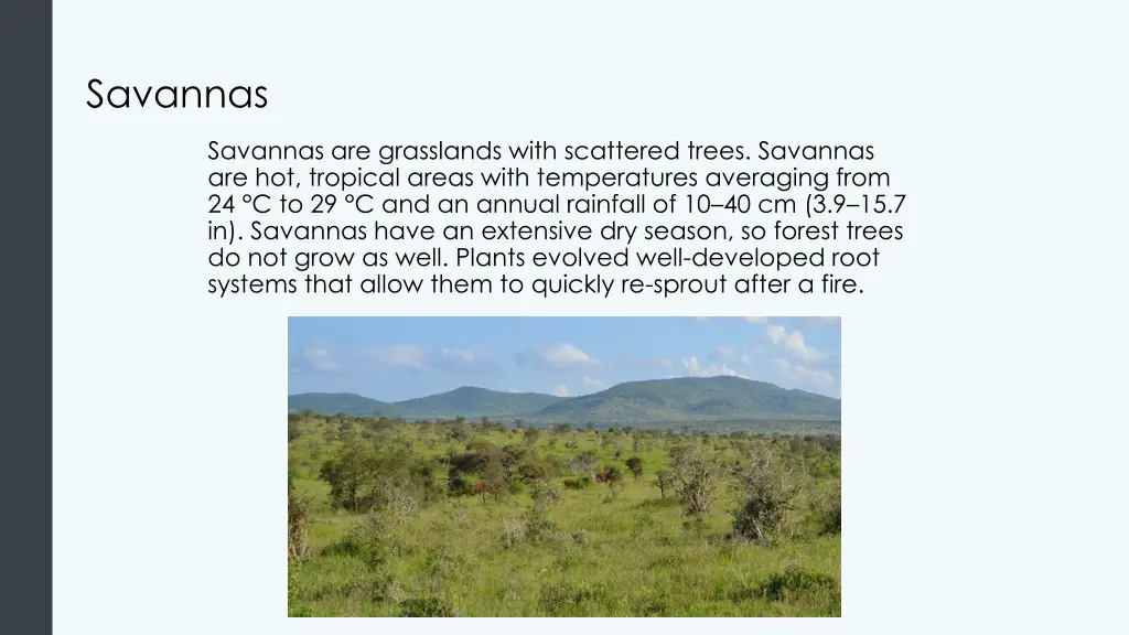 savannas