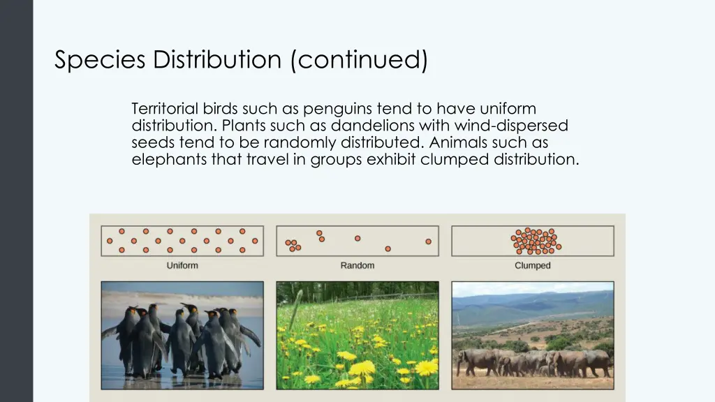 species distribution continued