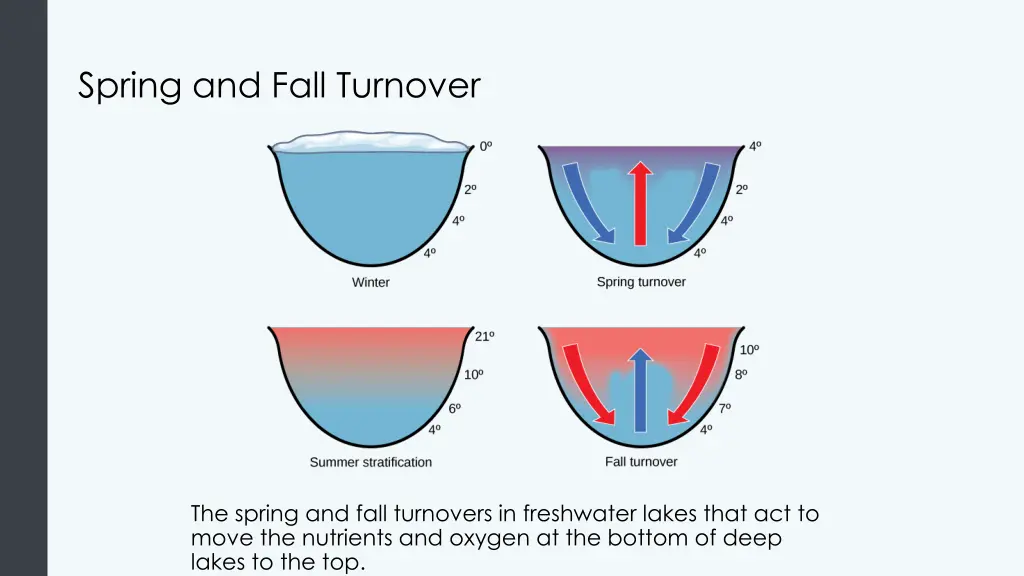 spring and fall turnover