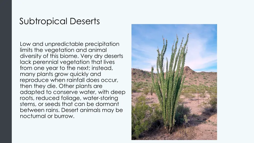 subtropical deserts