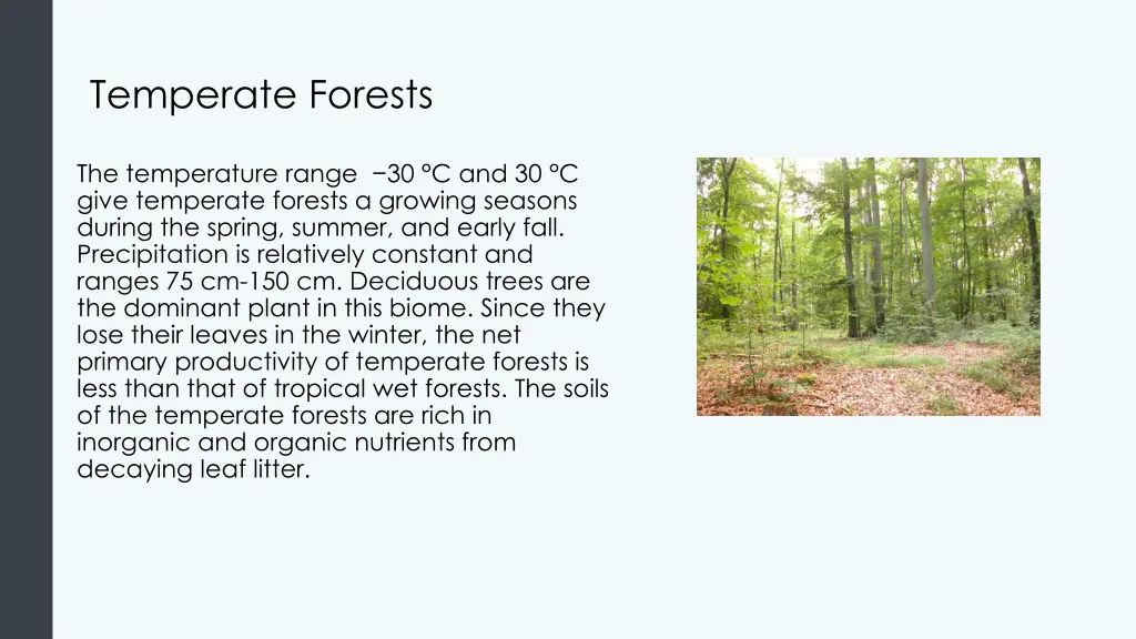 temperate forests