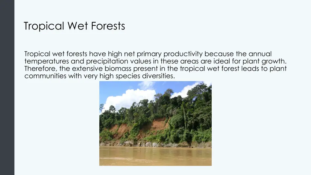 tropical wet forests