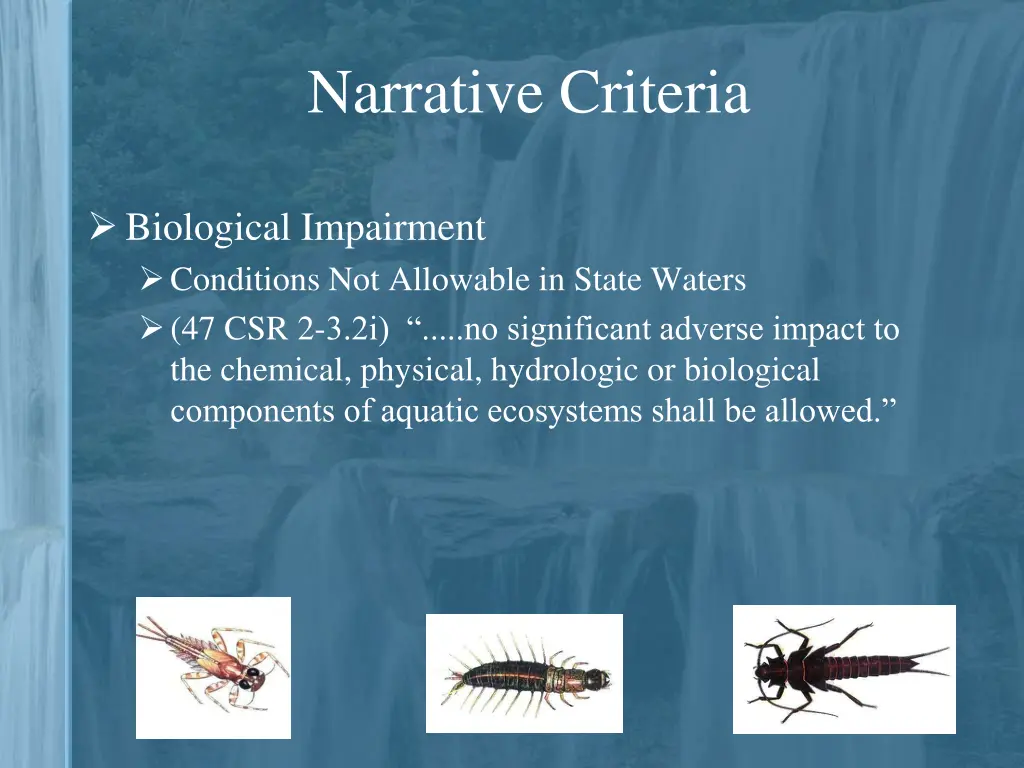 narrative criteria