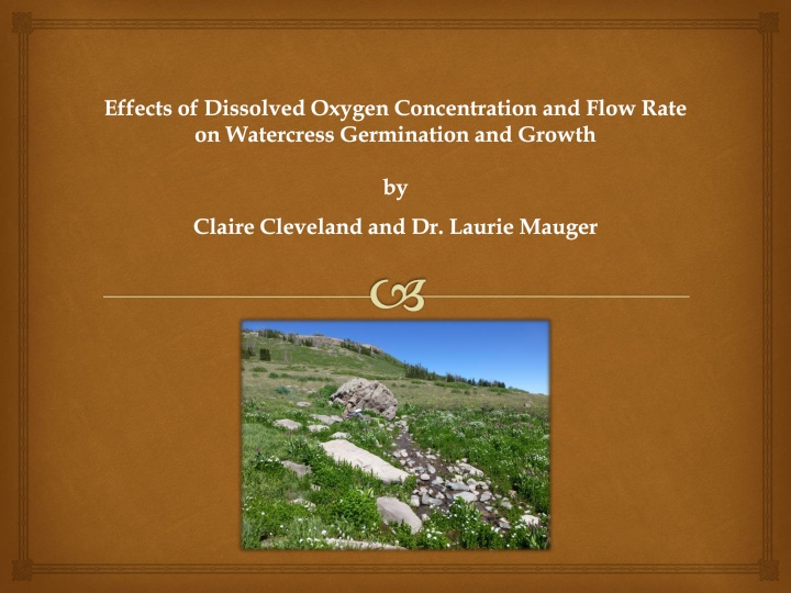 effects of dissolved oxygen concentration