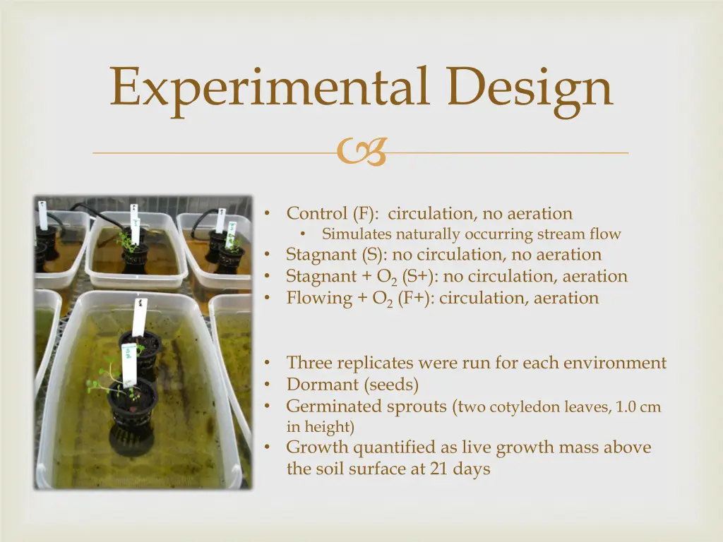 experimental design