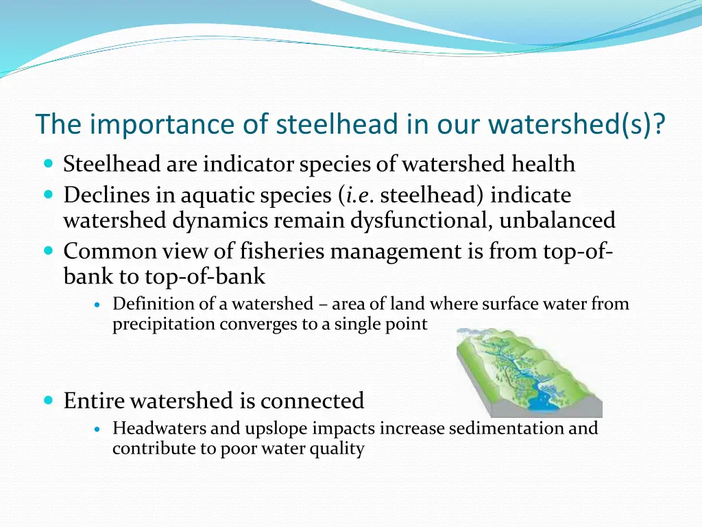 the importance of steelhead in our watershed