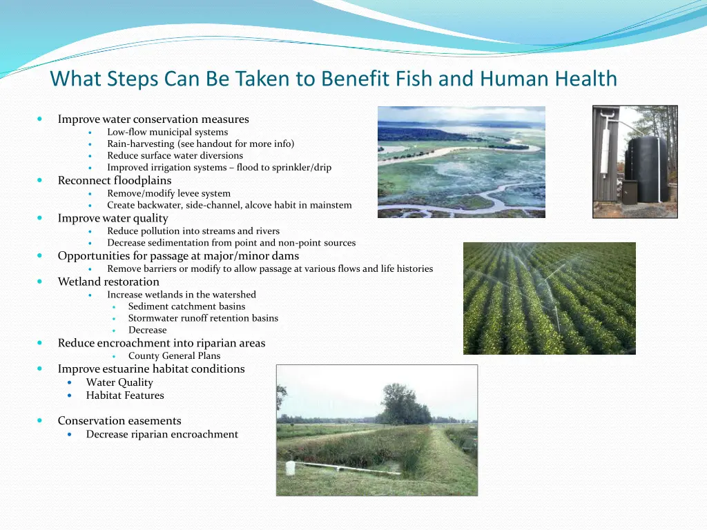 what steps can be taken to benefit fish and human