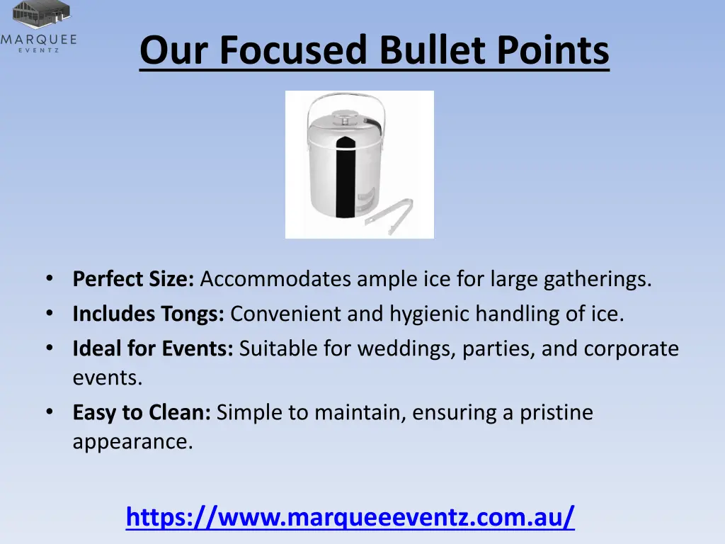 our focused bullet points