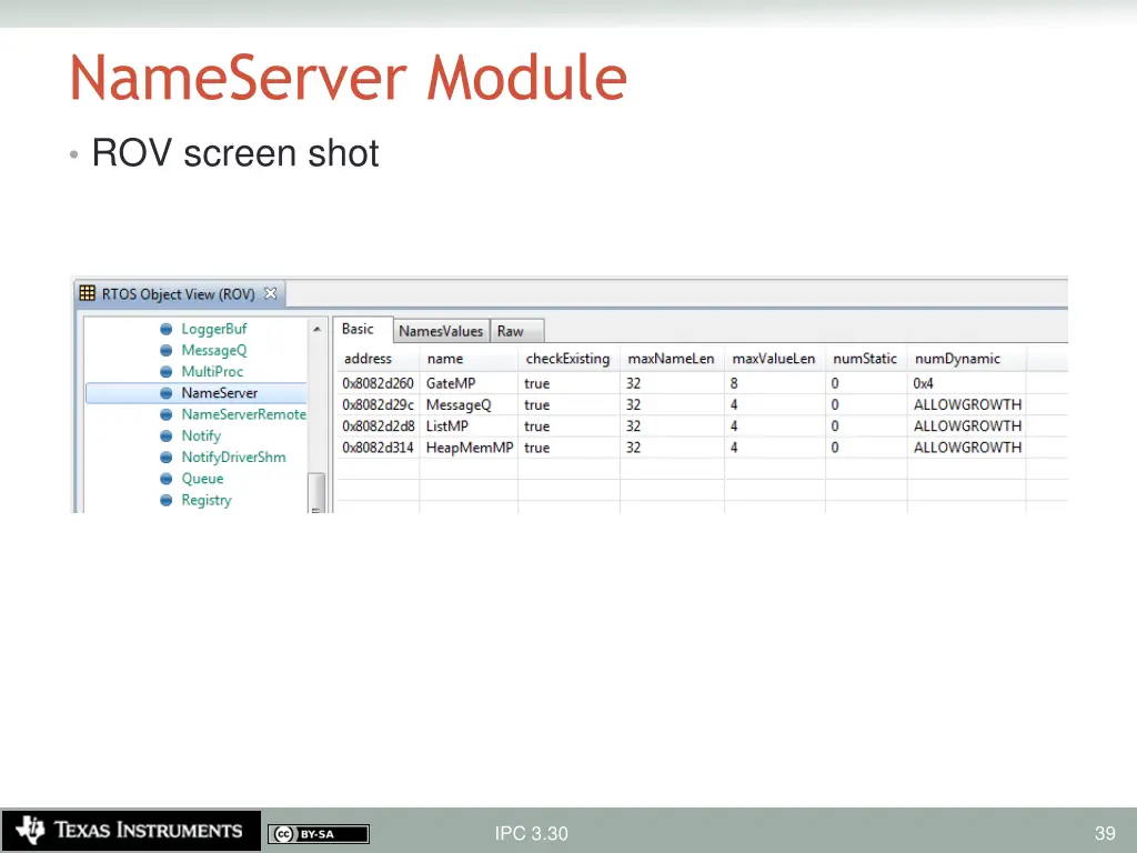 nameserver module 1