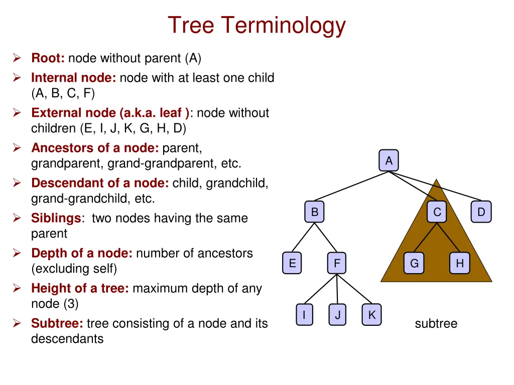 tree terminology