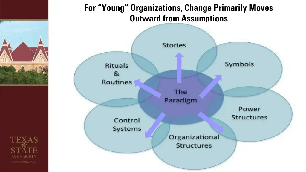 for young organizations change primarily moves