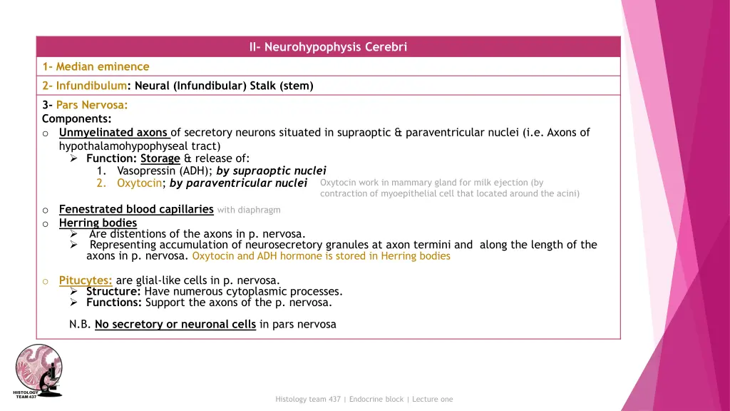 ii neurohypophysis cerebri