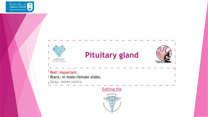 pituitary gland