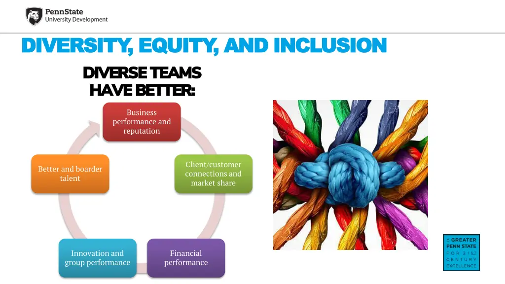 diversity equity and inclusion diversity equity