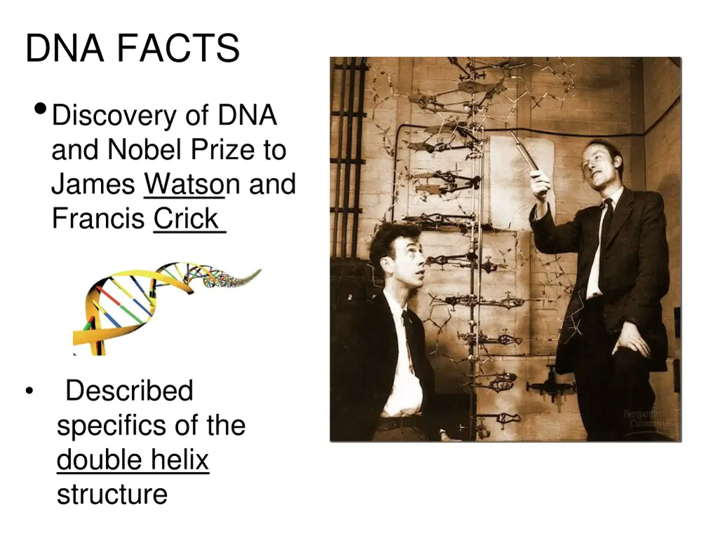 dna facts discovery of dna and nobel prize