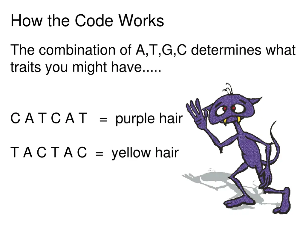 how the code works