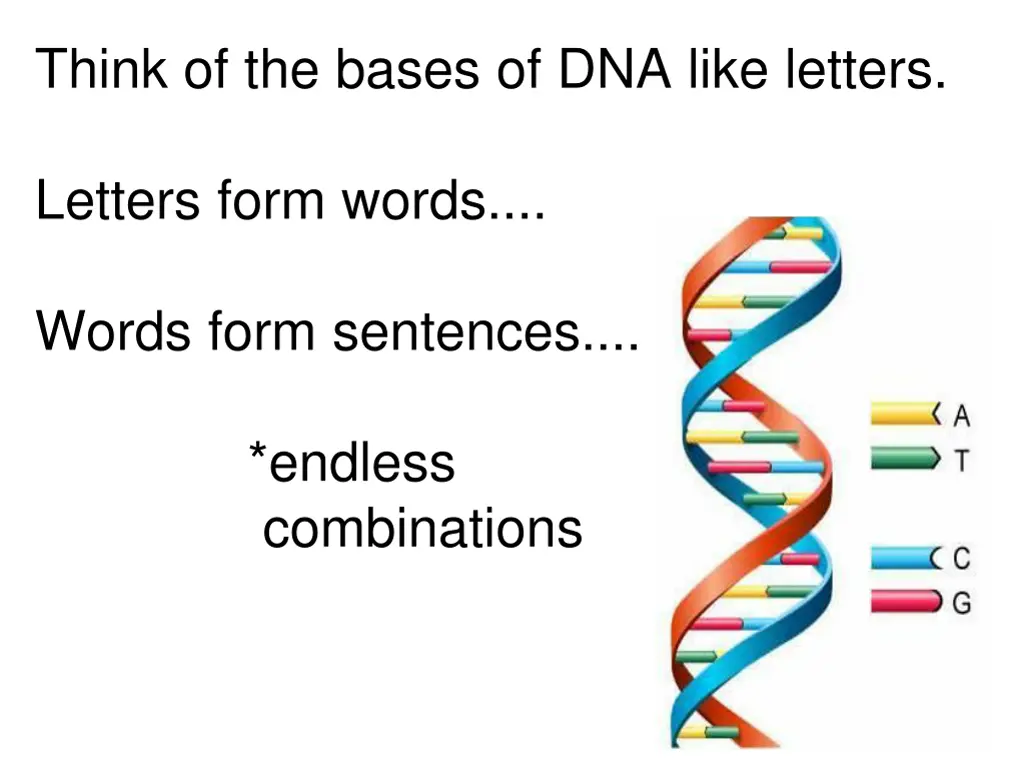 think of the bases of dna like letters