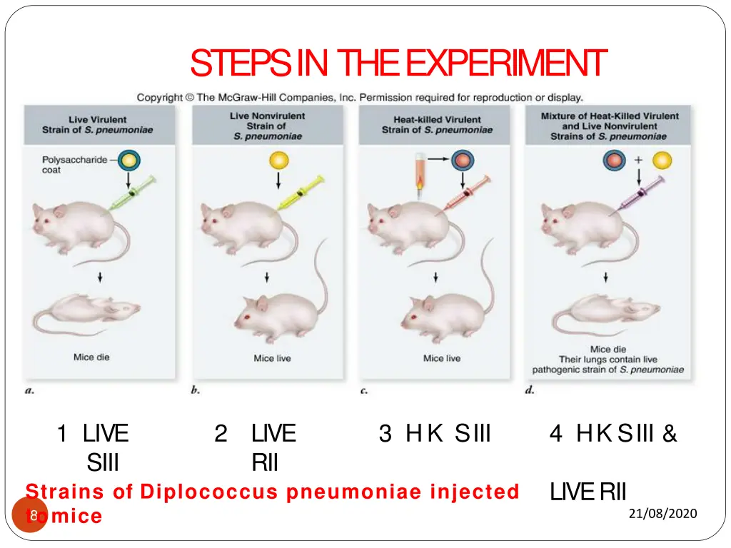 steps in theexperiment