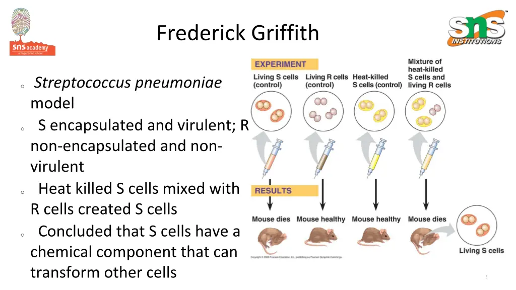 frederick griffith