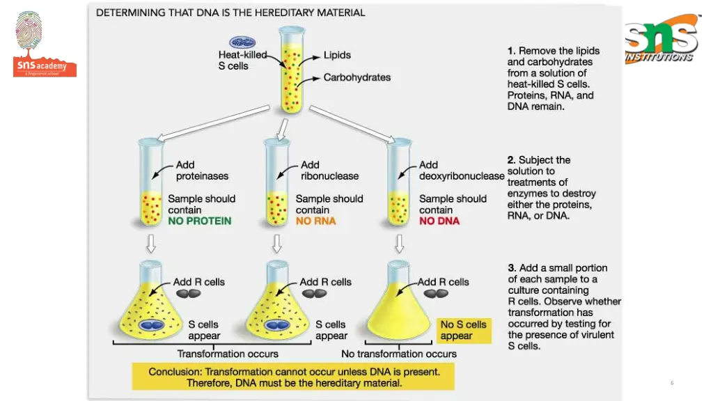 slide6