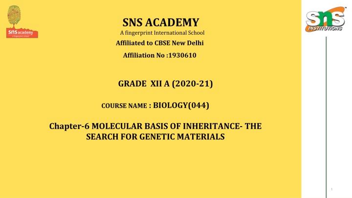 sns academy a fingerprint international school