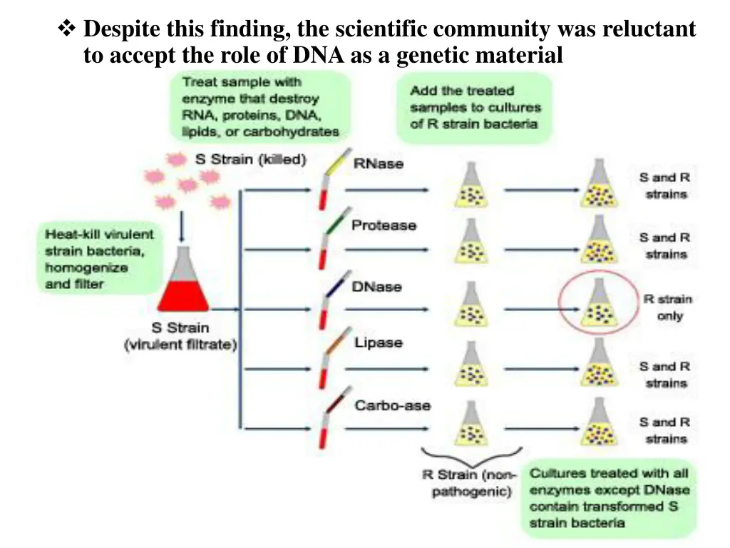 despite this finding the scientific community