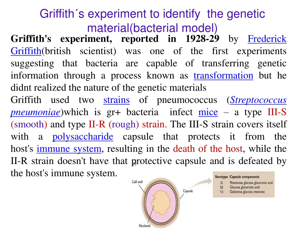 griffith s experiment to identify the genetic