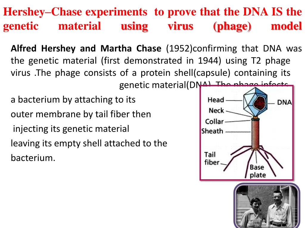 hershey chase experiments to prove that