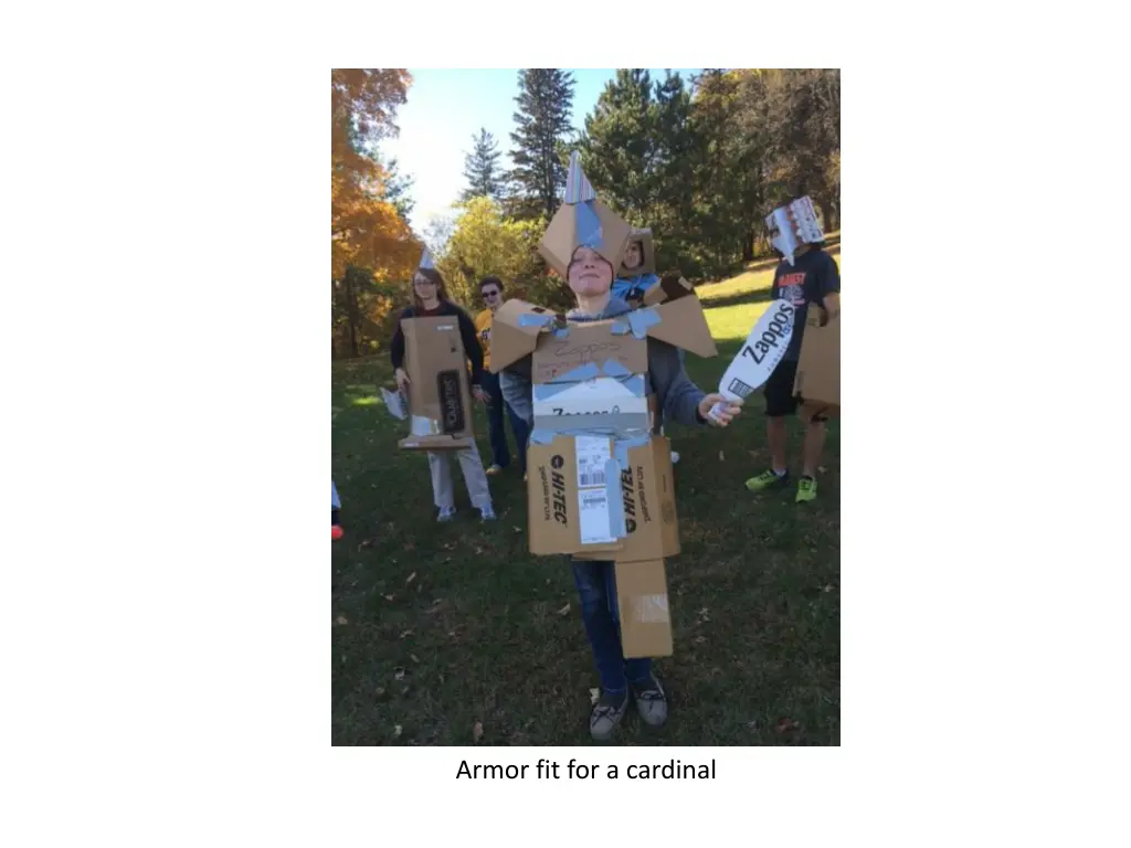 armor fit for a cardinal