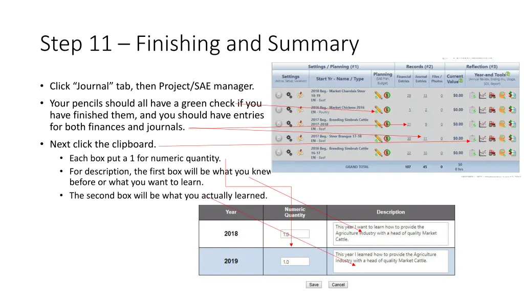 step 11 finishing and summary