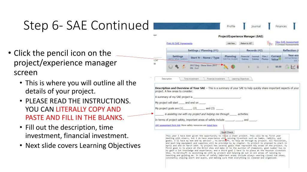 step 6 sae continued