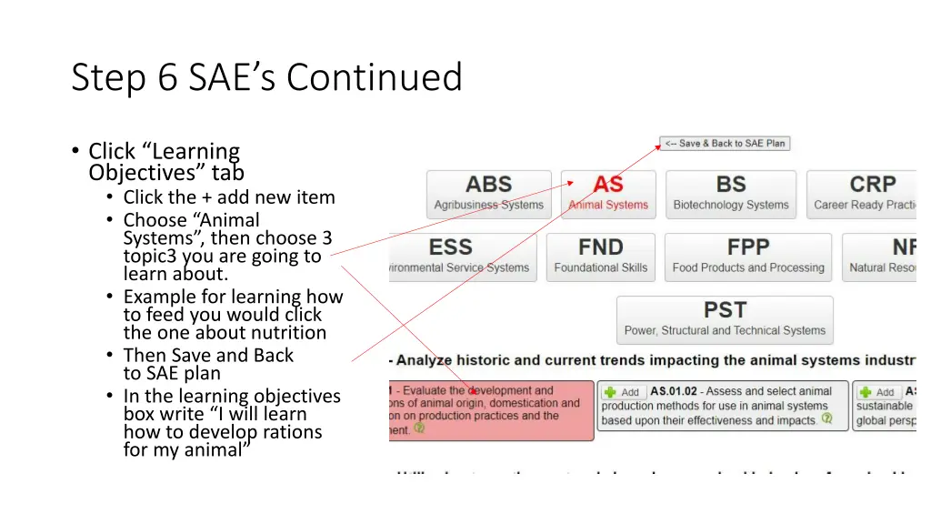 step 6 sae s continued