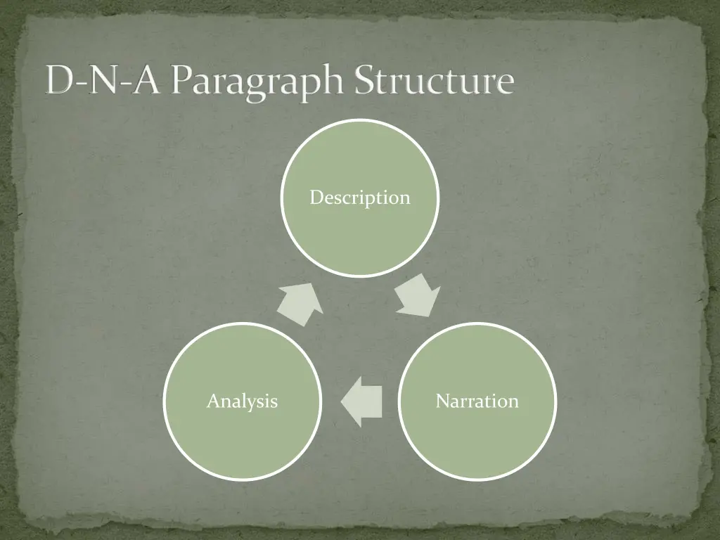 d n a paragraph structure