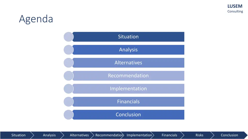 lusem consulting 1