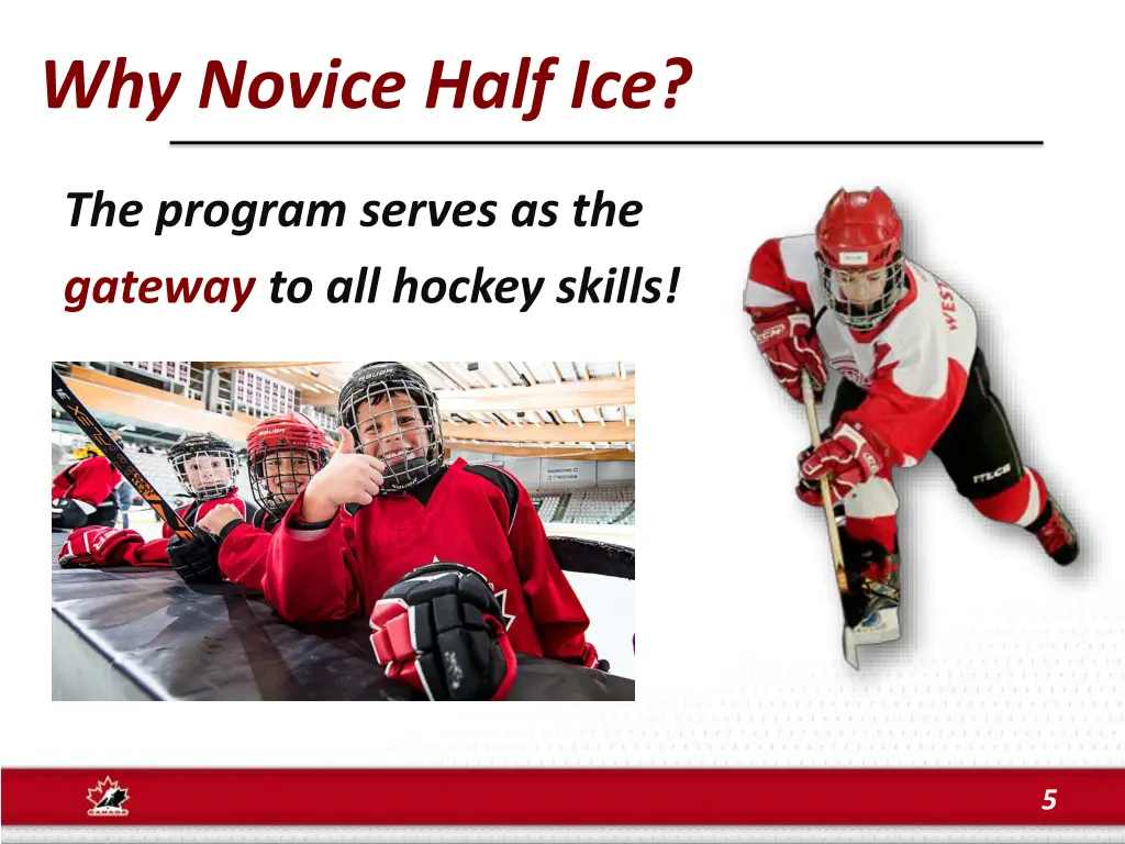 why novice half ice