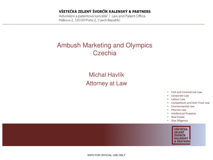 ambush marketing and olympics czechia