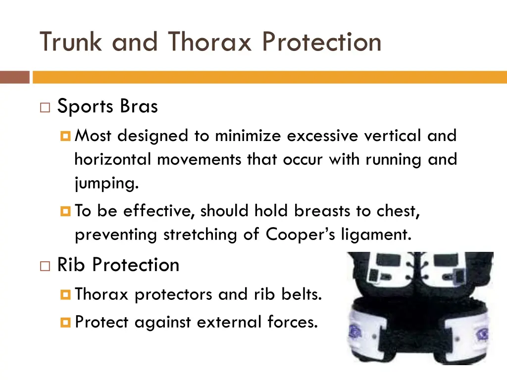 trunk and thorax protection 2