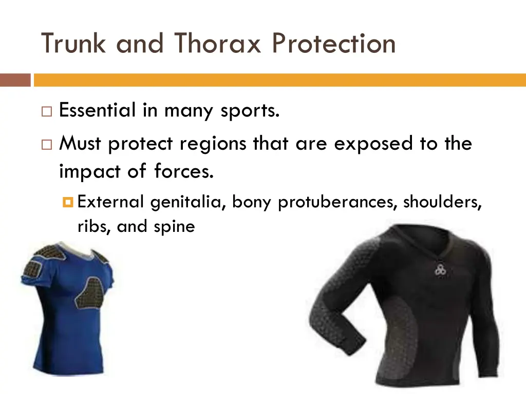 trunk and thorax protection