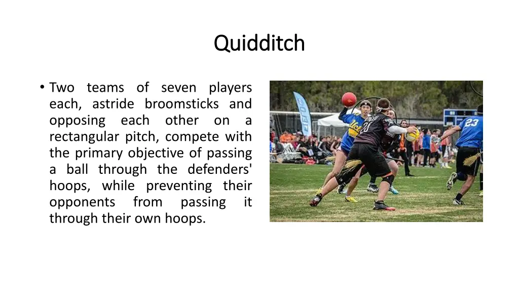 quidditch quidditch