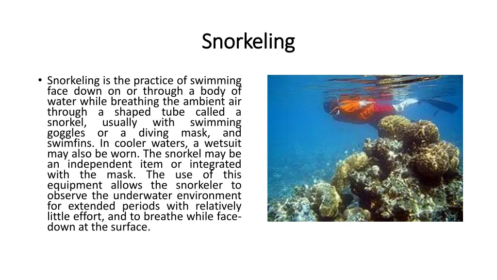 snorkeling snorkeling