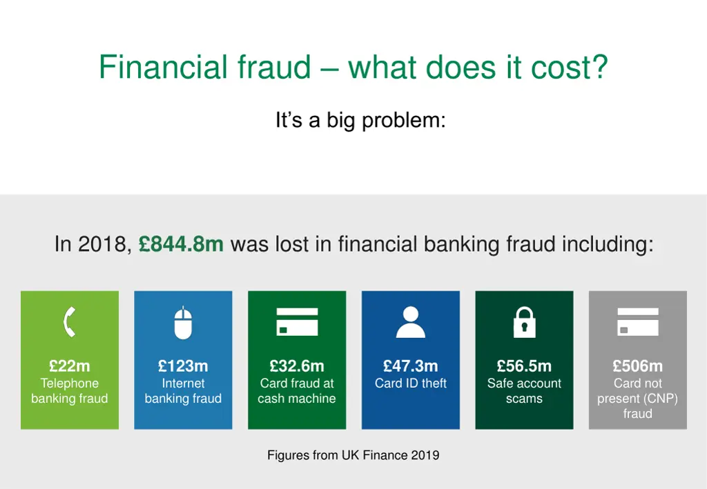 financial fraud what does it cost