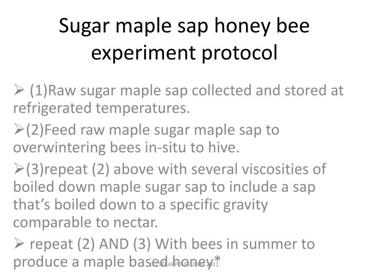 sugar maple sap honey bee experiment protocol