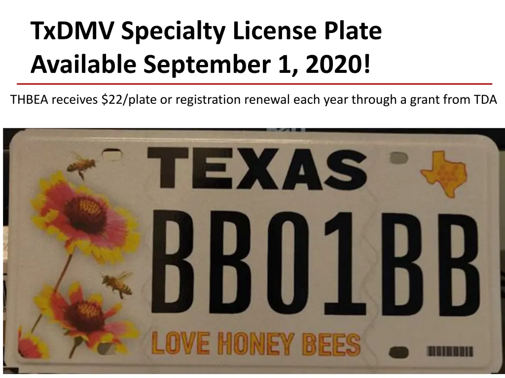 txdmv specialty license plate available september