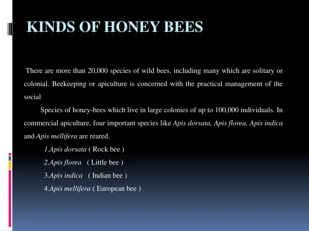 kinds of honey bees 1