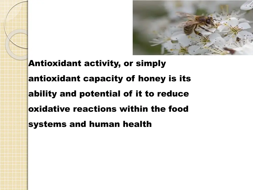 antioxidant activity or simply antioxidant