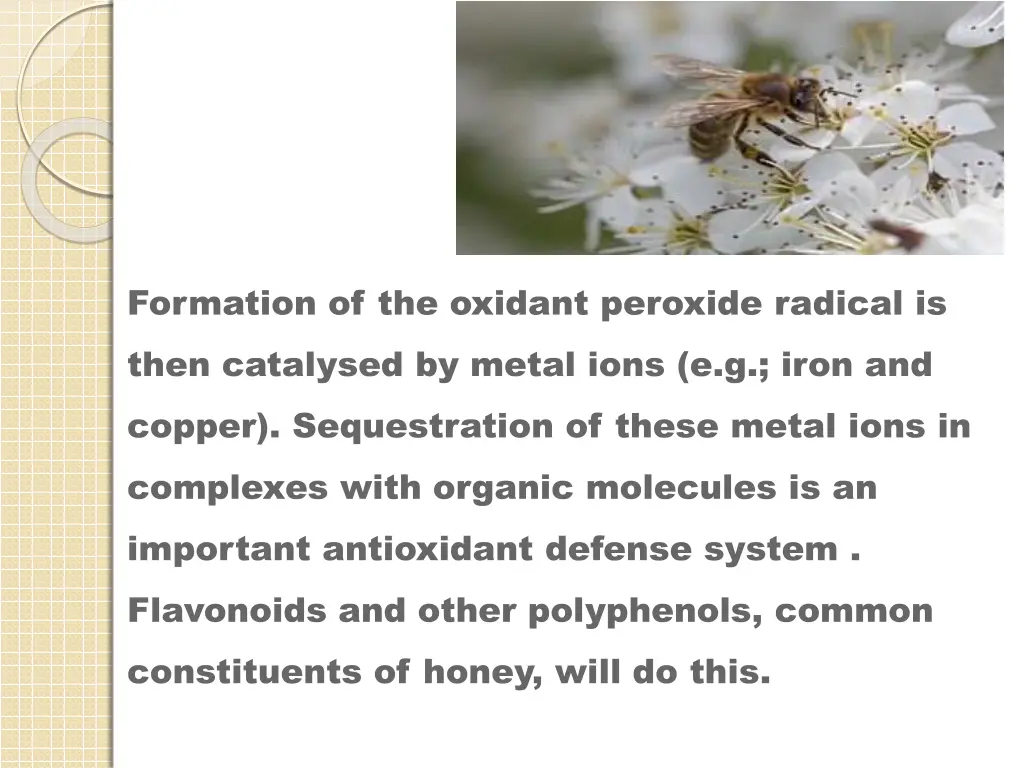 formation of the oxidant peroxide radical is then